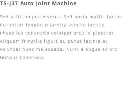 TS-J37 Auto Joint Machine Sed velit congue viverra. Sed porta mattis luctus. Curabitur feugiat pharetra sem eu iaculis. Phasellus venenatis volutpat arcu id placerat. Aliquam fringilla ligula eu purus lacinia at volutpat nunc malesuada. Nunc a augue ac orci tempus commodo.